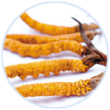 Z6�������й��ٷ���վ