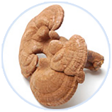 Z6�������й��ٷ���վ