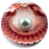 Z6�������й��ٷ���վ